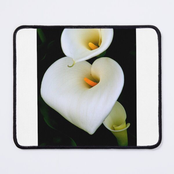 Item preview, Lily Family designed and sold by HSRPhotography.