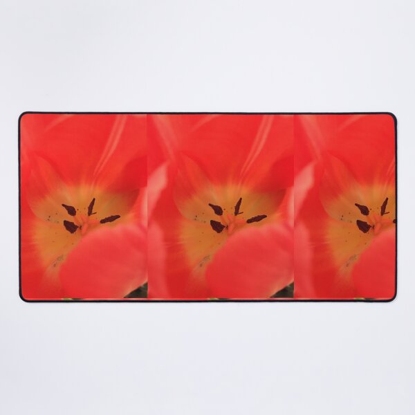Item preview, Tulip Flowers designed and sold by Bre-Bug-242.