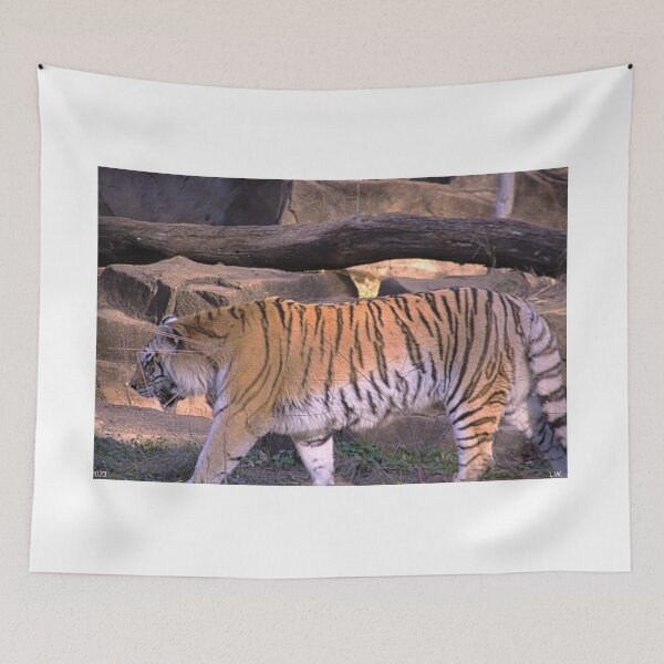 Item preview, Tiger designed and sold by LisaWootenPhoto.