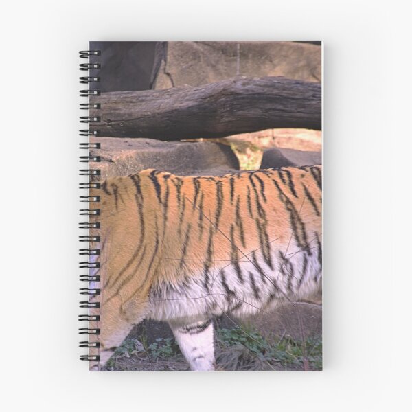 Item preview, Tiger designed and sold by LisaWootenPhoto.