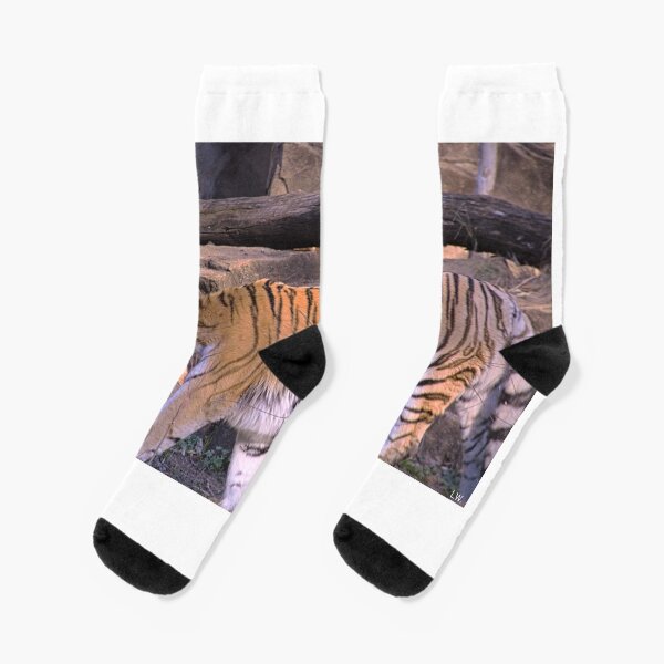 Item preview, Tiger designed and sold by LisaWootenPhoto.