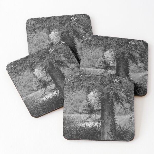 Item preview, Memories of Summer Mount Stewart Black and White Vertical designed and sold by eddiebarronshop.