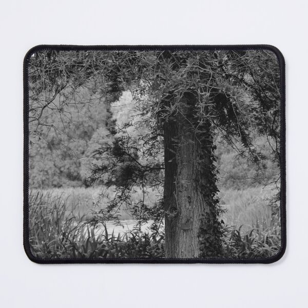Item preview, Memories of Summer Mount Stewart Black and White Vertical designed and sold by eddiebarronshop.