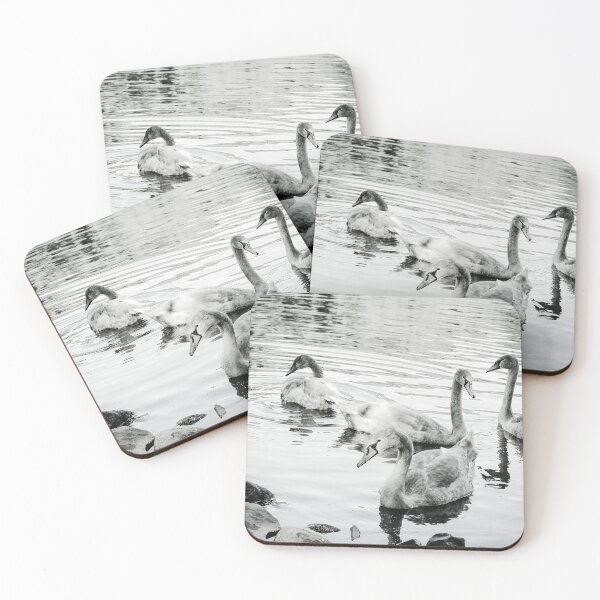 Item preview, Sit by the Pond and Enjoy the Swans Mount Stewart Black and White designed and sold by eddiebarronshop.