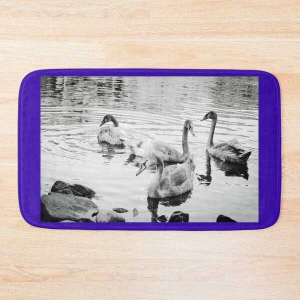 Item preview, Sit by the Pond and Enjoy the Swans Mount Stewart Black and White designed and sold by eddiebarronshop.