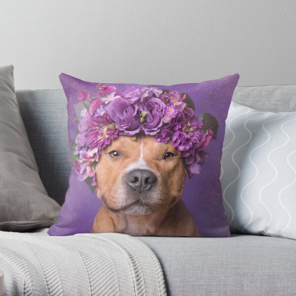 Purple pitbull for store sale