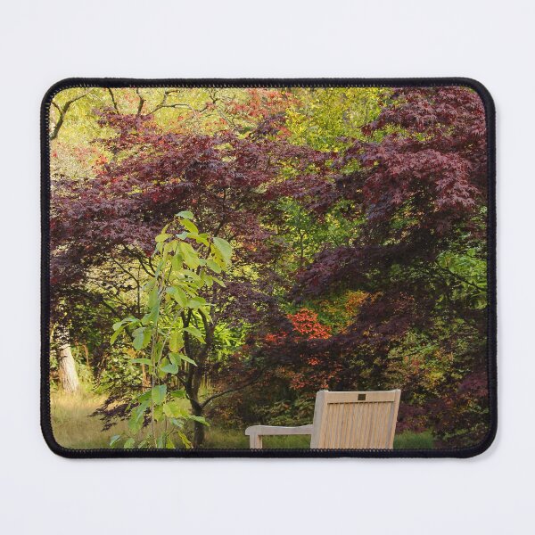 Item preview, Sit in Nature Enjoy Late Summer Mount Stewart Northern Ireland designed and sold by eddiebarronshop.