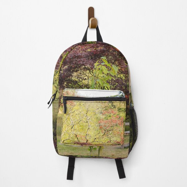 Item preview, Sit in Nature Enjoy Late Summer Mount Stewart Northern Ireland designed and sold by eddiebarronshop.