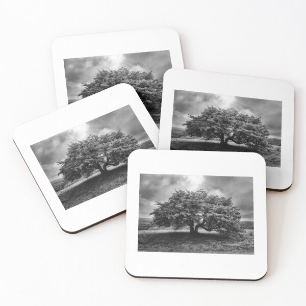 Item preview, Ancient Tree designed and sold by Chris O'Connor.