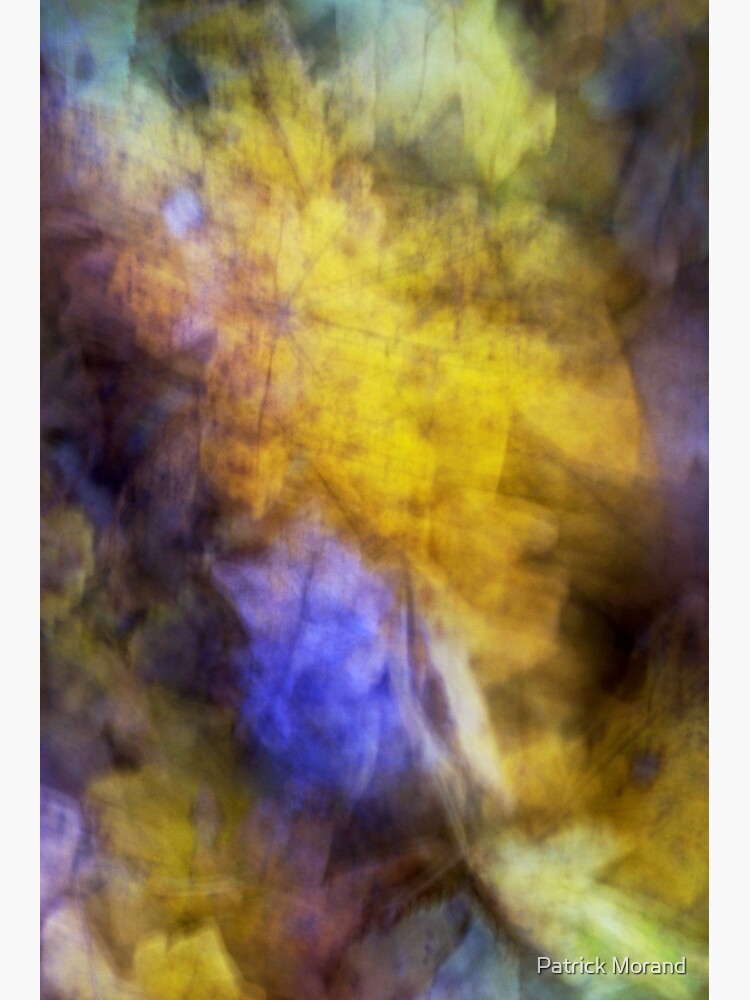 Autumn impression by patmo