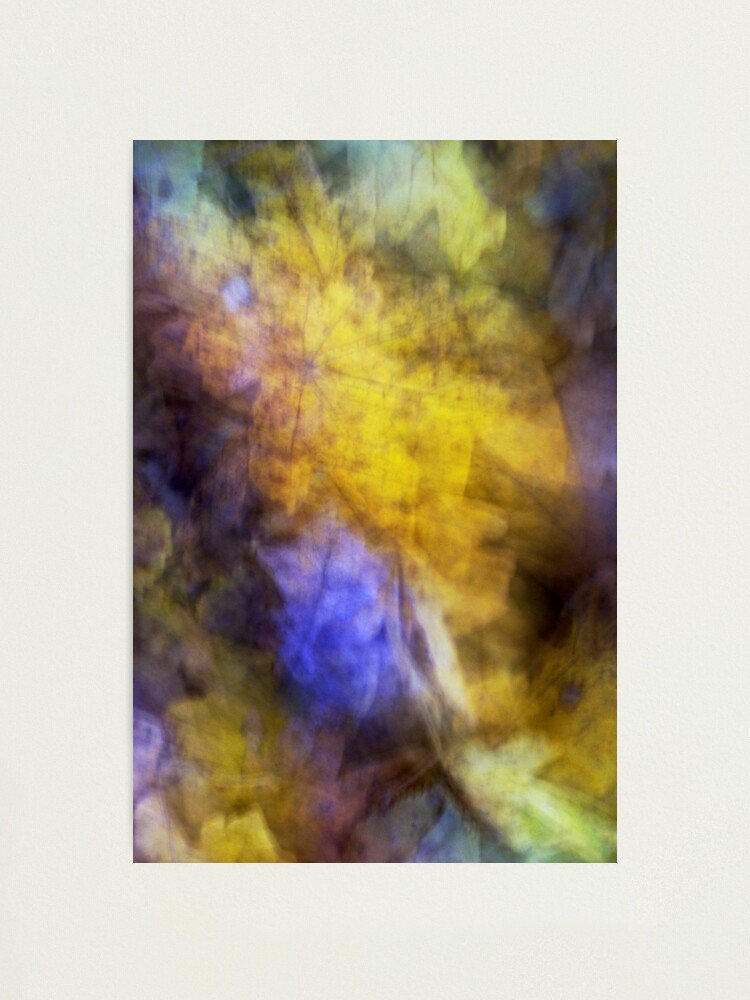 Alternate view of Autumn impression Photographic Print