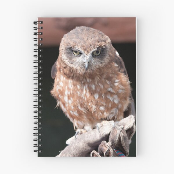 Item preview,  Boobook Owl Ozzie designed and sold by LorrieBee.