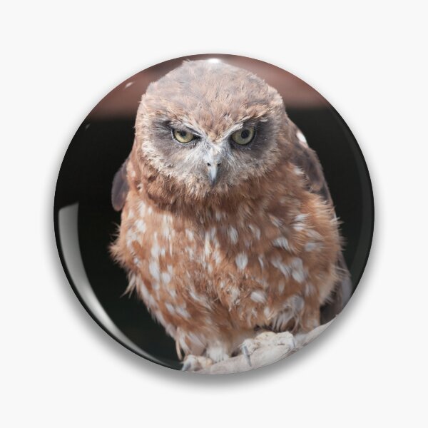 Item preview,  Boobook Owl Ozzie designed and sold by LorrieBee.