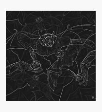 Bat Attack Photographic Print