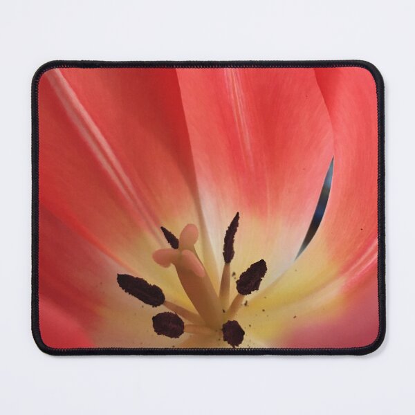 Item preview, Tulip Petals  designed and sold by Bre-Bug-242.