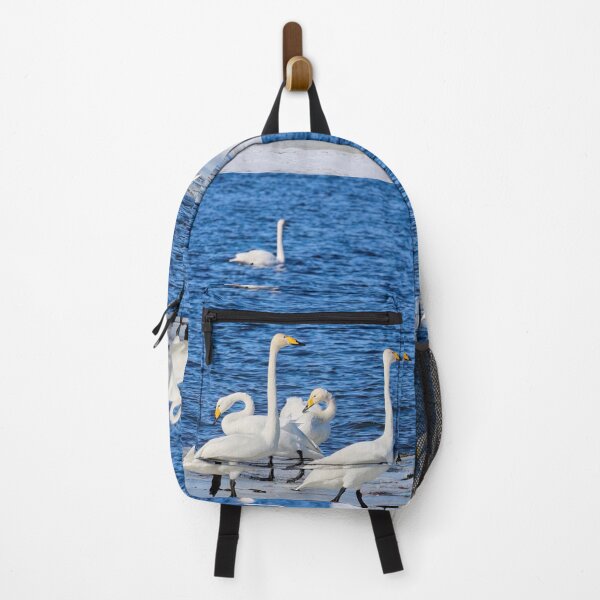 Item preview, Sunday walk. Whooper swan designed and sold by Jouko Lehto Photography.