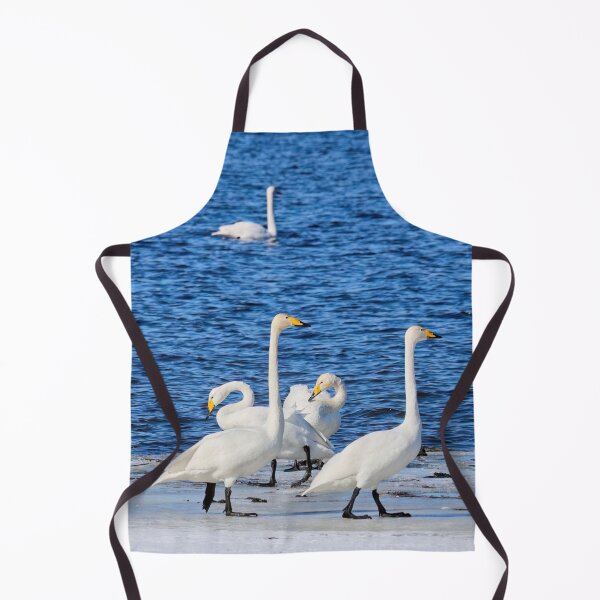 Item preview, Sunday walk. Whooper swan designed and sold by Jouko Lehto Photography.