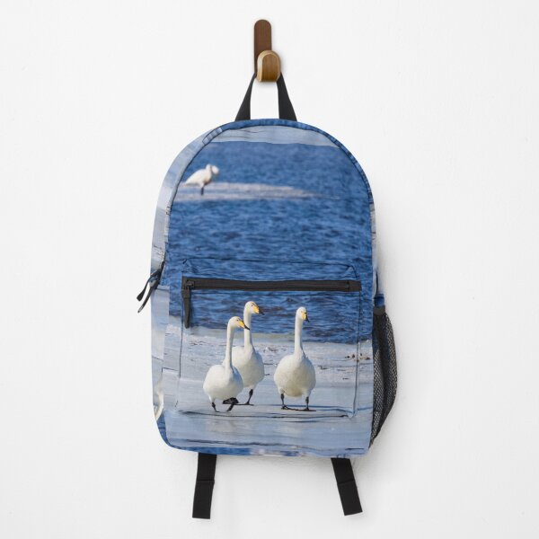 Item preview, Cool and the company. Whooper swan designed and sold by Jouko Lehto Photography.