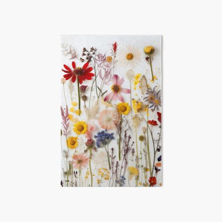 Pressed Flowers: A Captivating Study in Nature&#39;s Artistry - Pressed  Dried flowers on white background Art Print for Sale by EmeraldeaArt