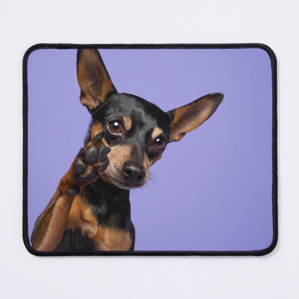Item preview, Miniature Pinscher Cute Dog Wave designed and sold by marshmallowhobo.