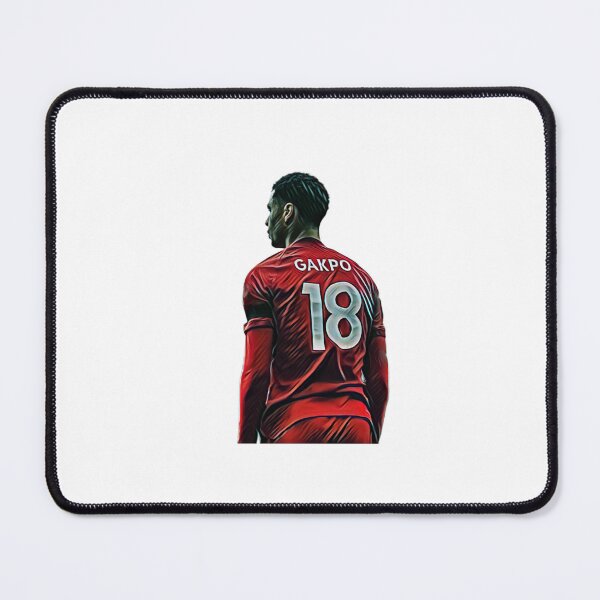 Item preview, its our attacker designed and sold by The Goat.