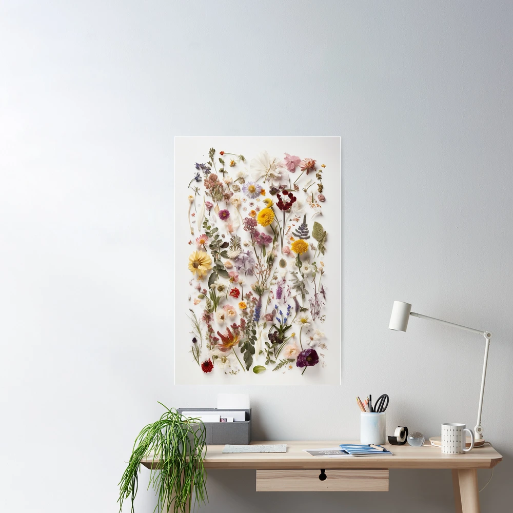 Poster Scattered dried flower petals background and rose 