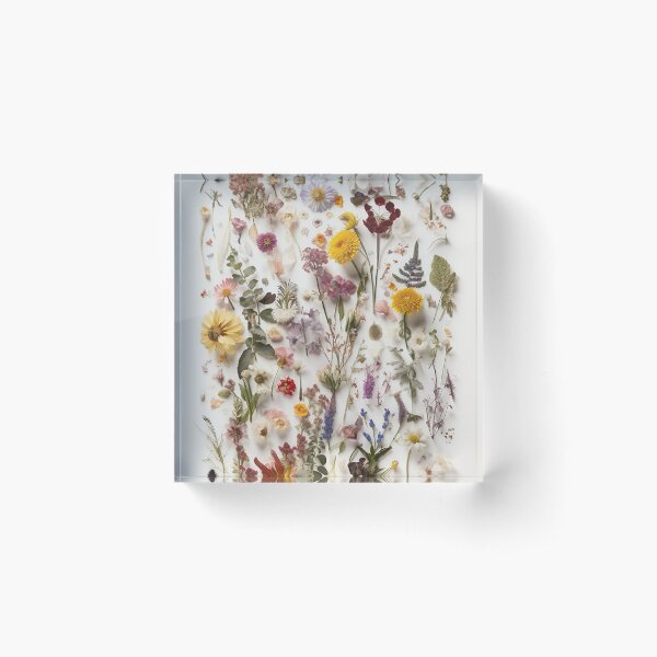 Pressed Blooms: A Study in White and Florals - Pressed Dried