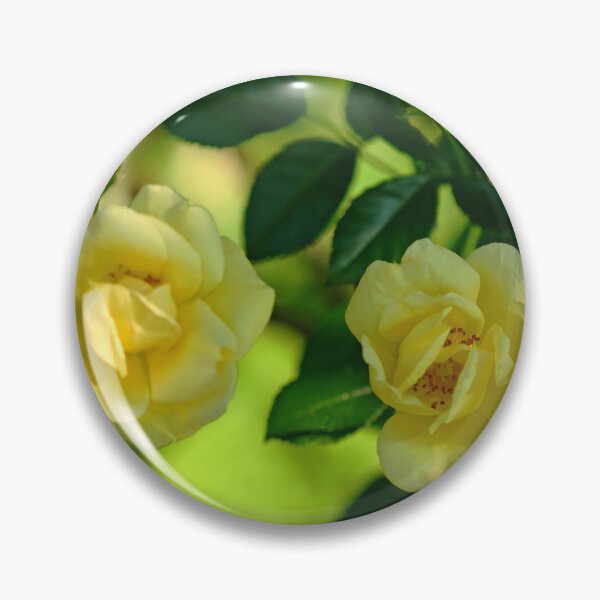 Item preview, Yellow Carpet Rose designed and sold by Debbie Oppermann.