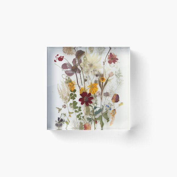 The Delicate Charm of Dried Florals - Pressed Dried flowers on white  background | Poster