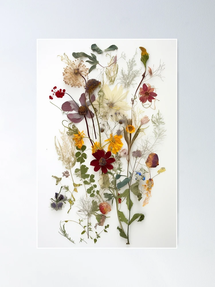 The Delicate Charm of Dried Florals - Pressed Dried flowers on