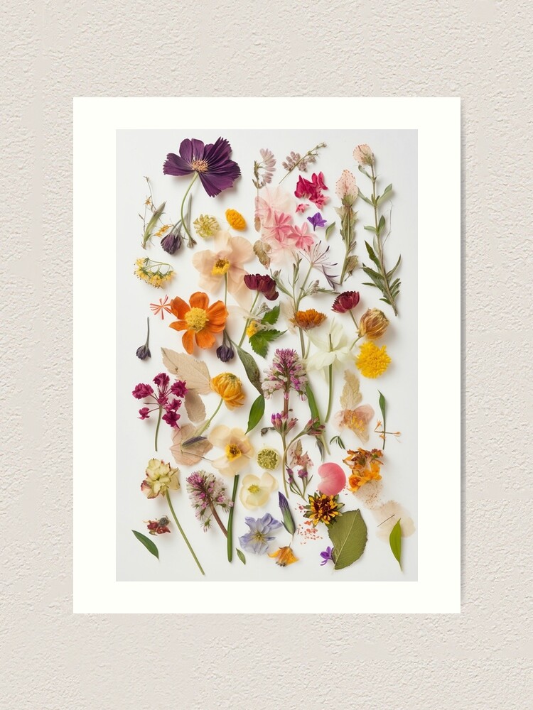 Popular Pressed Flower Collage Wall Art