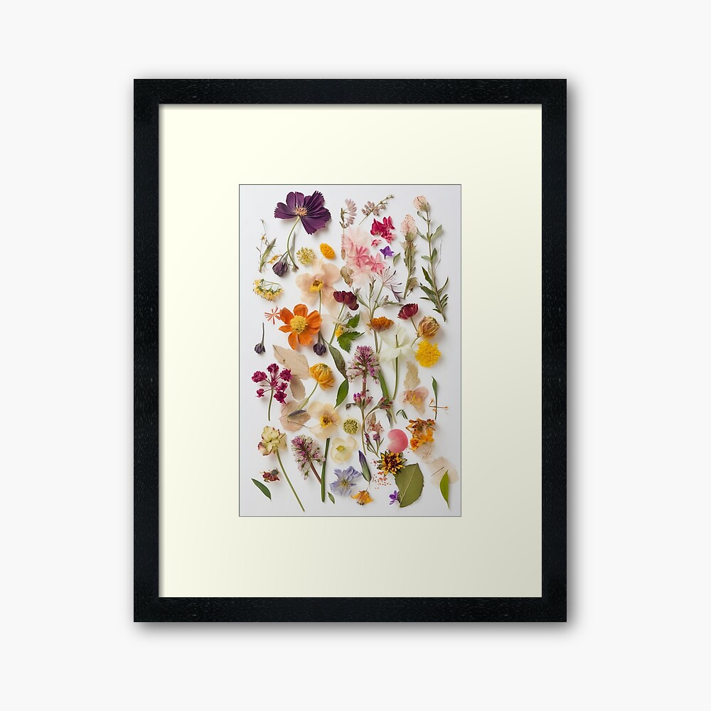Natures Treasures Preserved: A Collection of Pressed Blooms - Pressed Dried  flowers on white background Art Board Print for Sale by EmeraldeaArt