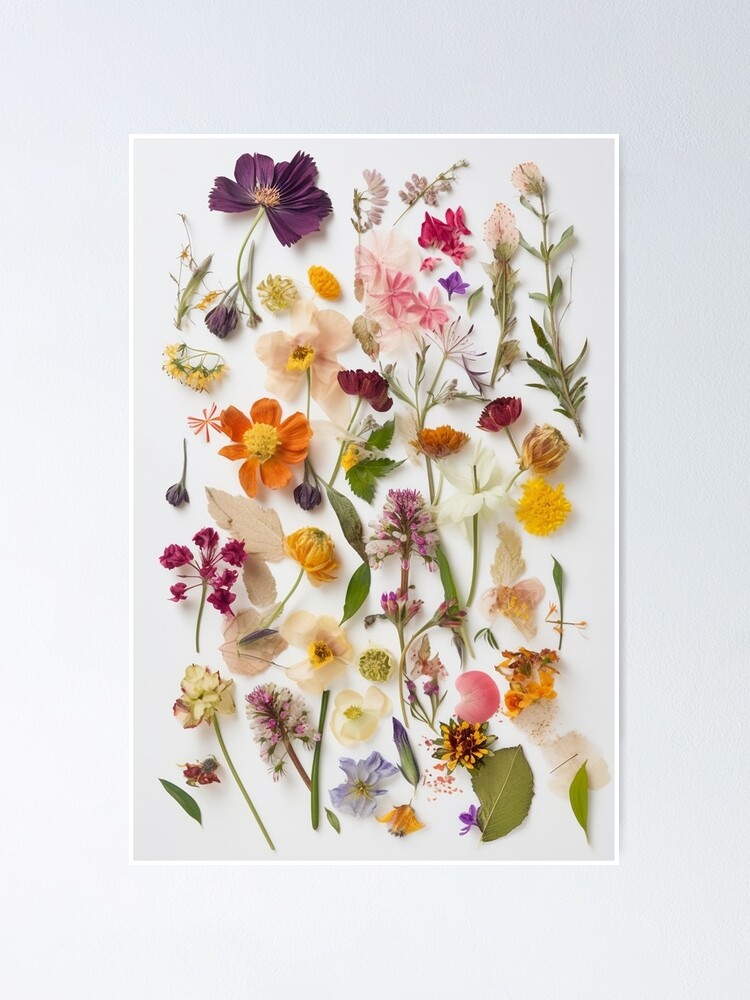 Framed Pressed Flower Art Spring