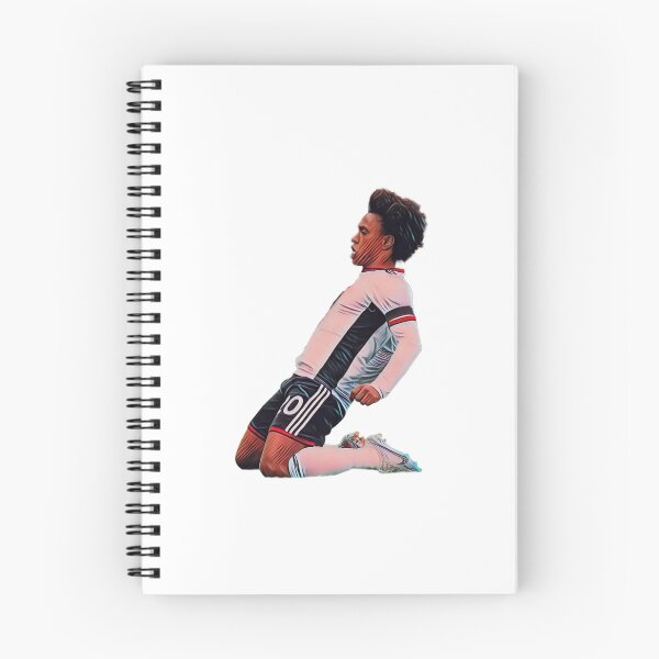 Item preview, its our attacker designed and sold by The Goat.