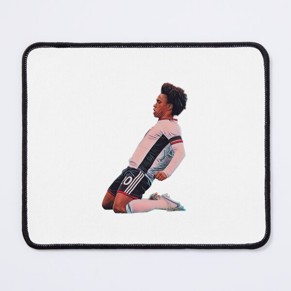 Item preview, its our attacker designed and sold by The Goat.