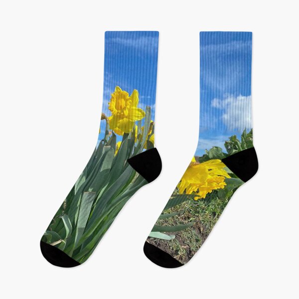 Item preview, Spring Flowers Panorama designed and sold by Violaman.