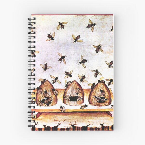 Item preview, Medieval Beekeeping, Hives and Bees, 11th century, Tacuinum Sanitatis, designed and sold by ScienceSource.