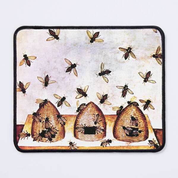 Item preview, Medieval Beekeeping, Hives and Bees, 11th century, Tacuinum Sanitatis, designed and sold by ScienceSource.
