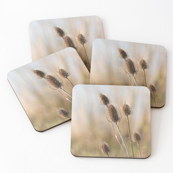Item preview, Teasel In Spring designed and sold by Tanya C  Smith.