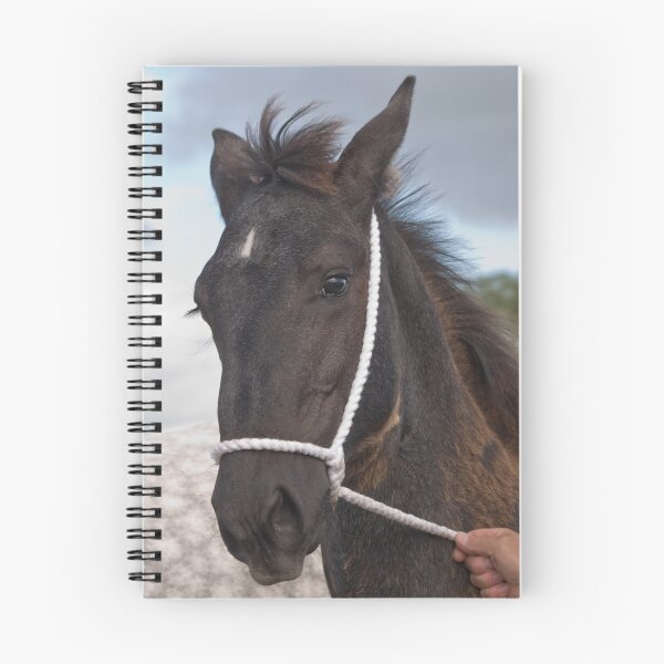 Item preview, Estrella del espectáculo Potro Percheron designed and sold by LorrieBee.