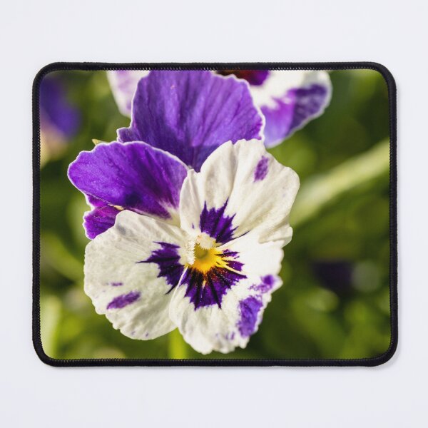 Item preview, Violas designed and sold by Tanya C  Smith.