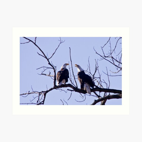 You hear me? Art Print