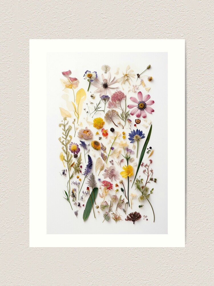 The Delicate Charm of Dried Florals - Pressed Dried flowers on
