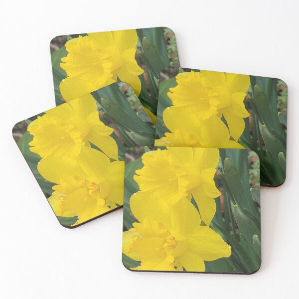 Item preview, Grouping of Daffodils designed and sold by YikosCastle.
