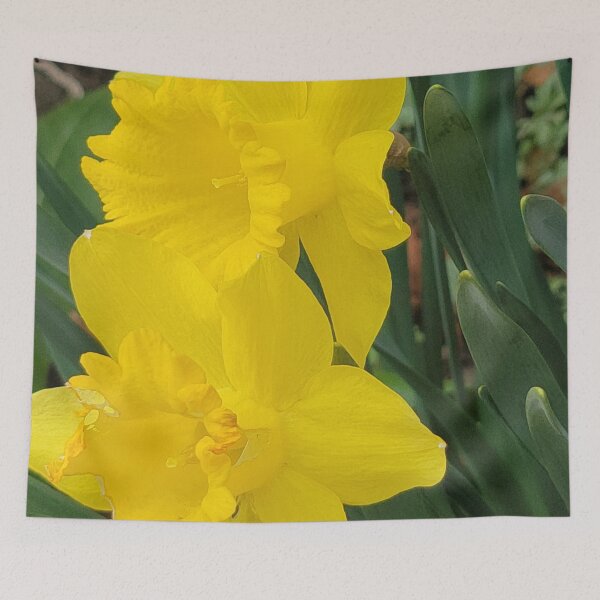 Item preview, Grouping of Daffodils designed and sold by YikosCastle.