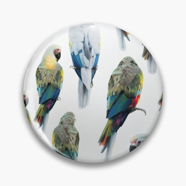 Item preview, Parrot Pattern designed and sold by Pattrosity.