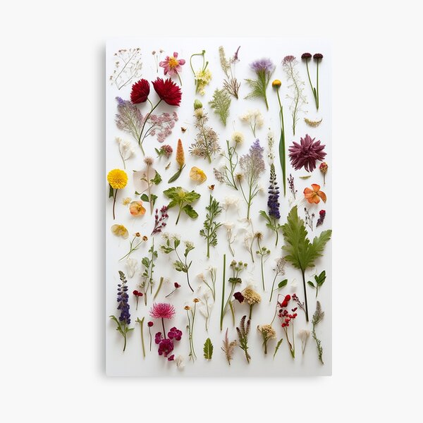 The Delicate Charm of Dried Florals - Pressed Dried flowers on