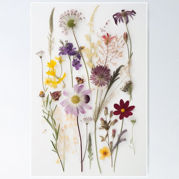 Natures Treasures Preserved: A Collection of Pressed Blooms