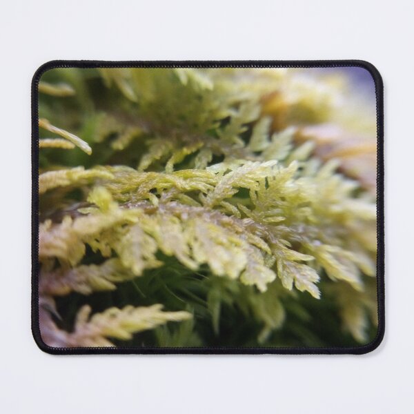 Item preview, Fern moss (macro lens) designed and sold by Daerohel.