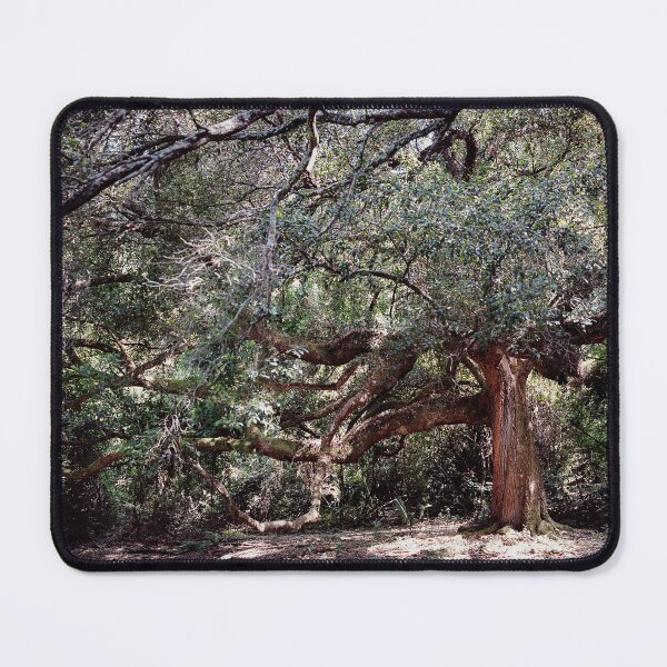 Item preview, Enchanted Oak designed and sold by Lostlogo.